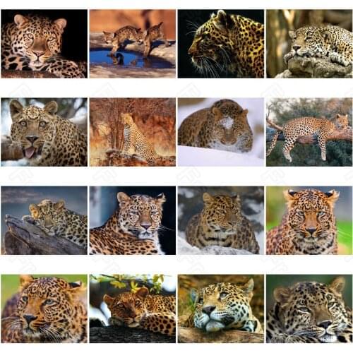 Diy Diamond Painting Leopard Casual Animal Square Diamond Round Diamond Decoration Customizable Wall Art Decoration Frameless
