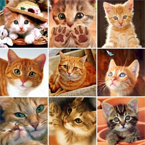 EverShine Diamond Mosaic Animal Picture Rhinestones Diamond Painting Full Square Cat Cross Stitch Home Decor Bead Embroidery