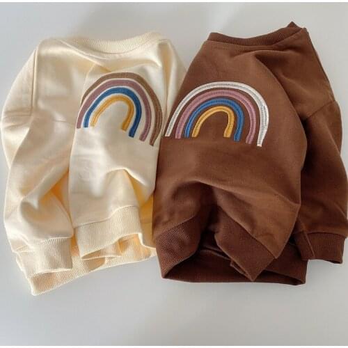 Autumn Baby Girls Embroidery Rainbow Sweatshirts Long Sleeve Tops Kids Toddler Boys Pullover Sweatshirt Child T-shirt Clothes