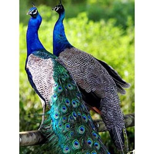 Diamond Painting Peacock Diamond Embroidery Animal Diamond Cross Stitch Round Resin Pictures American Style Home Decor Painting