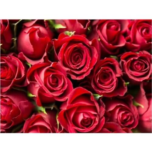 Flower Rose DIY Embroidery Cross Stitch 11CT Kits Needlework Craft Set Printed Canvas Cotton Thread Home Wholesale