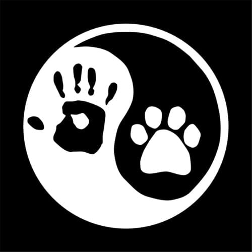 10-100pcs 10*10CM Car Sticker Yin Yang Cat and Dog Paw Print Notebook Decals Personalized Car Window Glass Trim