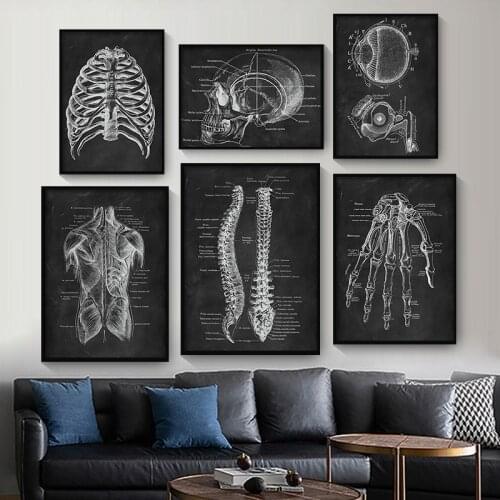 Anatomia Humana Arte De Arte ClíNica MéDica Quadro De Parede Esqueleto óRgãO MúSculo Sistema Vintage ImpressãO Em Tela Corpo