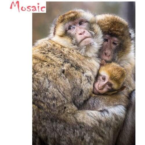 5D,DIY,Diamond Embroidery,Animal monkey Couples and the baby Cross Stitch diamond painting,Diamond Mosaic,Needlework,Full