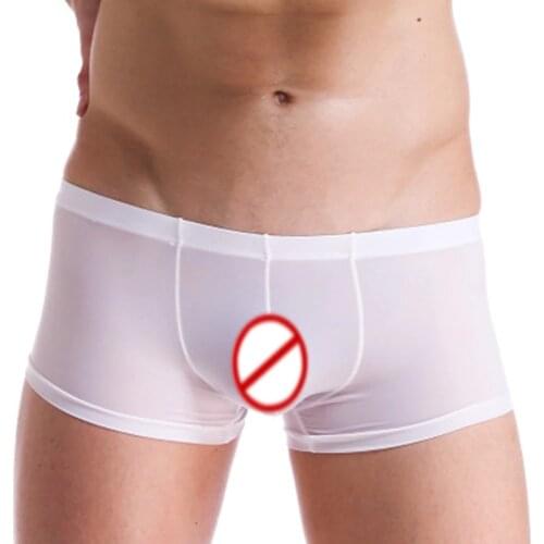 Ice Silk Boxers Shorts Men Transparent Low-rise Trunks Breathable See Through Underwear Cueca Homme U Convex Pouch Panties A50