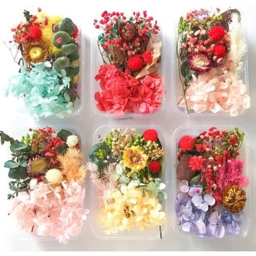 1 Box DIY Dried Flowers UV Resin Decorative Natural Flower Stickers 3D Dry Decal