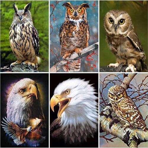 DIY Owl 5D Diamond Painting Full Square Drill Animal Diamond Embroidery Cross Stitch Mosaic Wall Art Crafts Home Decor Gift