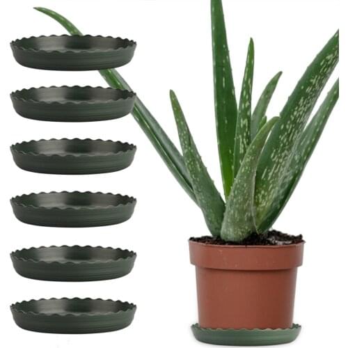 Plant Saucer Plastic Flowerpot Tray 12pcs Outdoor Durable Heavy Duty Saucers Drip Garden Base For Indoor Desk Office Home Trays