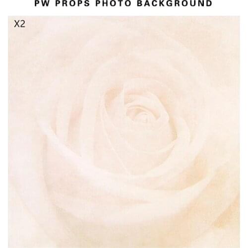 Wood Floor Backdrop Vintage Wood Floor Photo Backdrop Vinyl background Newborn Background Photography Props