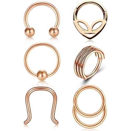 6PCS Stainless Steel Septum Nose Ring Hoop Set Hinged Segment Lip Trague Cartilage Earrings Clicker Body Jewelry Piercing 16G