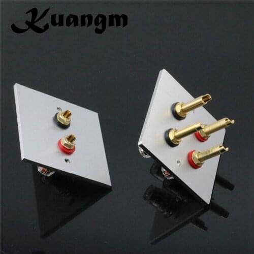 1 set Audio Hi-End Gold Plated Amplifier Speaker Terminal Female Long Short Version Including Binding Post and Plate Socket