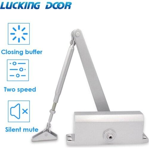 Hydraulic Buffer Automatic Door Closer 45KG to 85KG Mute Closing Door Hardware Adjustable Speed Door Closing Equipment