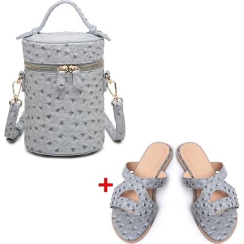 2021 New Gray Ostrich Leather Women Hot Selling Shoes and Bag Set fo Fashion Style Matching Shoes and Handbags Set For Party