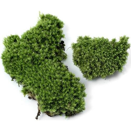 DIY Miniature Plush Stone Micro Landscaping Home Garden Wedding Decoration Craft Accessories Artificial Moss Plant Long NEW
