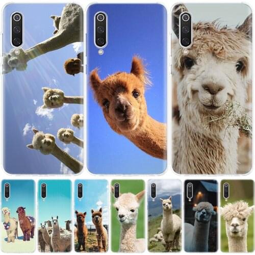 Llama Alpacas donkey Animal Phone Case for Xiaomi Redmi Note 10 9 9S 8T 8 7 8A 7 7A 6 6A 9A 9C S2 K20 K30 Pro Fashion Cover Coqu