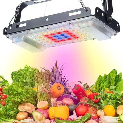 800W Full Spectrum Indoor LED Grow Lamp For Plant Growing Light Tent Fitolampy Phyto Red Blue Flower Seed Greenhouse Hydroponic