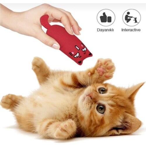 Miorra Toys For Cats