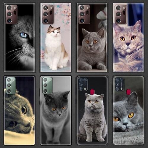 Silicone Case for Samsung Galaxy M21 M30S M31 Prime M31S M51 F41 M11 Phone Accessories Cover Coque Shell British Shorthair Cat