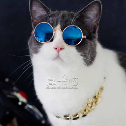 Pet Accessories Cats Dogs Sunglasses Sunglasses Tyrant Big Gold Chain Trend Personality Accessories Photo Matching
