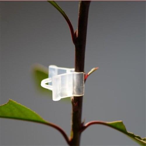 50PCS Garden Plant Vegetable Grafting Clips Tomato Silicon Graft Clip Transparent Flower Seedlings for Outdoor Connector Tool
