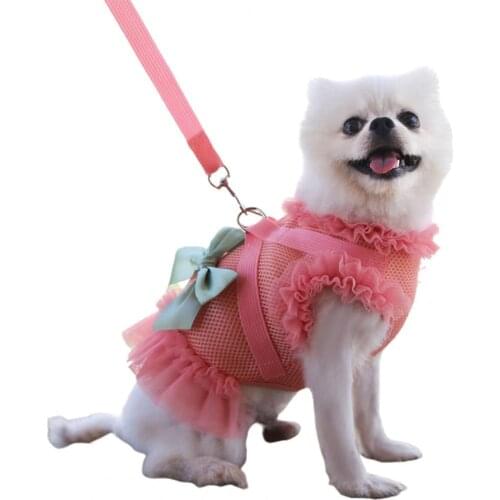 Unisex Pet Chest Harness Set Bowknot Design Decorative Solid Color Breathable Pet Mesh Lace Chest Strap Traction Leash Kit