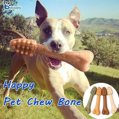 Natural Toothbrush Shaped Dog Teeth Stick Dog Toys Chews Snack Food Treats Dogs Chewing Bones For Pet Dog Teeth Molars Cleaning