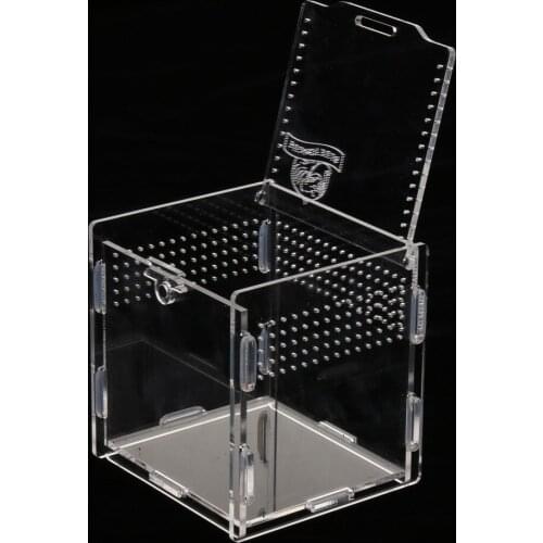 Reptiles Tank Insect Spiders Amphibians Frog Breeding Feeding Box Vivarium Terrariums Vivarium Cage Decor