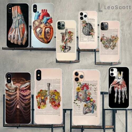 Human Anatomy Phone Case For iphone 12 5 5s 5c se 6 6s 7 8 plus x xs xr 11 pro max mini