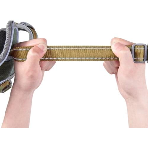 Dogs chest and back with leash, chain and walking rope. Pet supplies - without leash