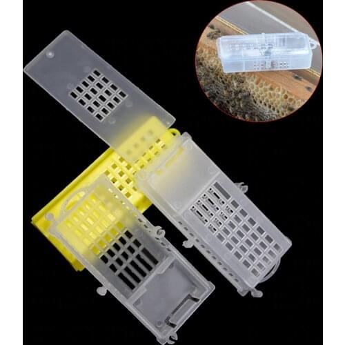 6PCS Transport cages Beekeeping bee queen rearing cage cell plastic post mail new king transparent yellow