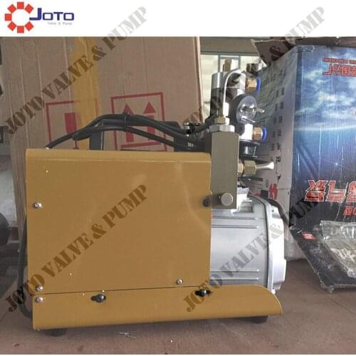 2pcs High Pressure Electric Pump PCP Air Compressor for Paintball Air Rifles