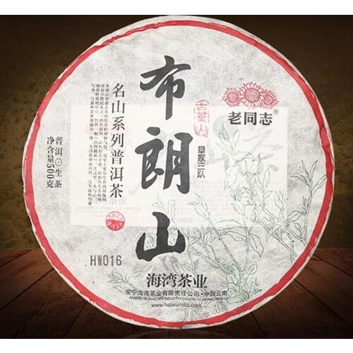 2021 Haiwan Sheng Puer Chinese Tea Laotongzhi Famous Mountain Series-Bulang Mountain Raw Puer Chinese Tea Cake 500g