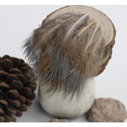 100PCS/Pack 5-10cm Beautiful Natural Pheasant Feather DIY Wind Bell Parts Decor Wedding Party Decoration