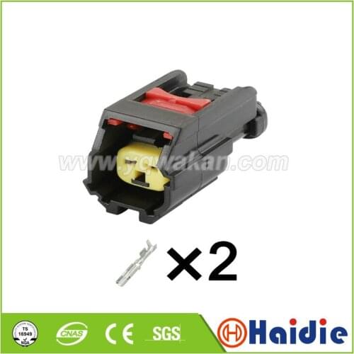 5sets 2pin Nozzle Methanol Modification Plug Line Ford Focus Mondeo Speaker Plug connector