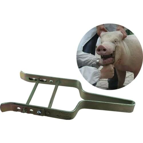Pig Animal mouth opener pig sheep cattle medicine feeder veterinary medicine applicator opener animal husbandry veterinary equip