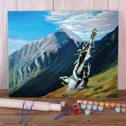 Landscape Hoverla. Etude Coloring By Numbers Painting Complete Kit Acrylic Paints 50*70 Paiting By Numbers Art