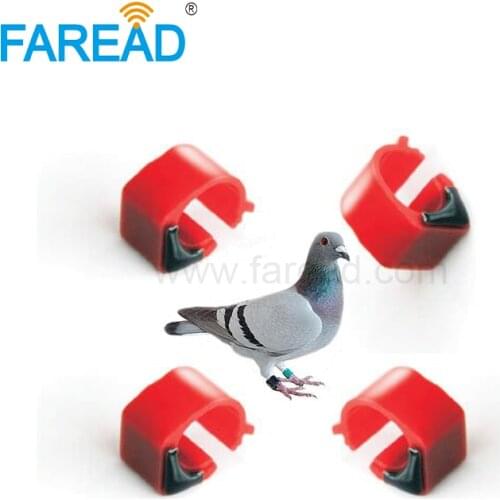 9mm TK4100 125Khz chip foot bird ring with RFID electronic tags for pigeon poulty management