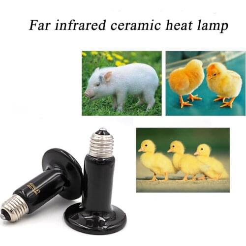 Pet Heat Lamp Heater 25w/50W/75W/100W/150W/200W Reptile Snake Tortoises Lizard Hedgehog Heating Equipment Reptile Supplies