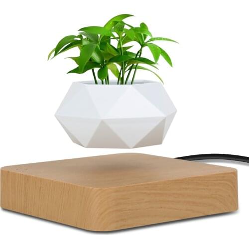 NEW Magnetic suspension flower pot Levitating Air Bonsai Pot plant pot succulent pot patio decoration Desktop Flower/Green Plant