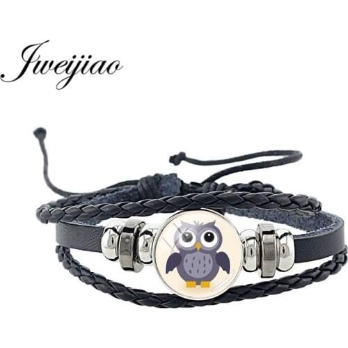 JWEIJIAO Fashion Birds Owl Woven Leather Bracelet Glass Cabochon Animal Charm Unisex Bracelet Bangles Chain Jewelry FQ135