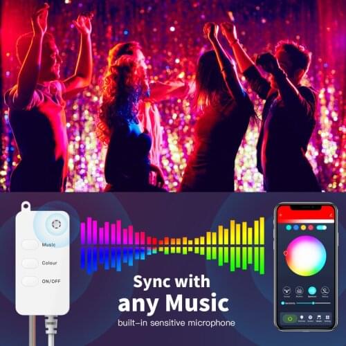 Tuya WiFi Smart Globe Fairy Lights IP65 WaterProof RGB Strip Light Remote Control Work With Alexa Google Home Dance With Music