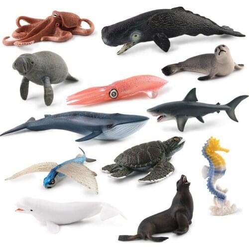 Simulation Sea Animal Marine Life Sperm Whale Manatee Seals Turtle Squid Shark Wildlife Model Educational Toy