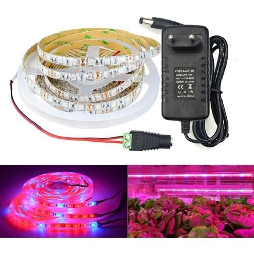 Indoor Plant Light LED Strip 5050 LED Grow Light LED Lamp phytolamp Tape Vegetables Flower phytolent for plants Seeds EU US Plug