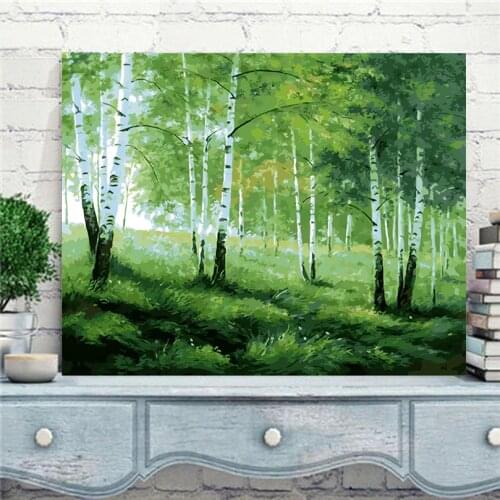2017 new Green birch tree new oil painting by numbers hand painted canvas coloring by numbers home decor pictures gift RS-34
