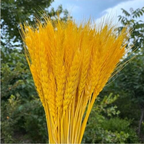 DXLYMYU Artificial Flowers For Decoration