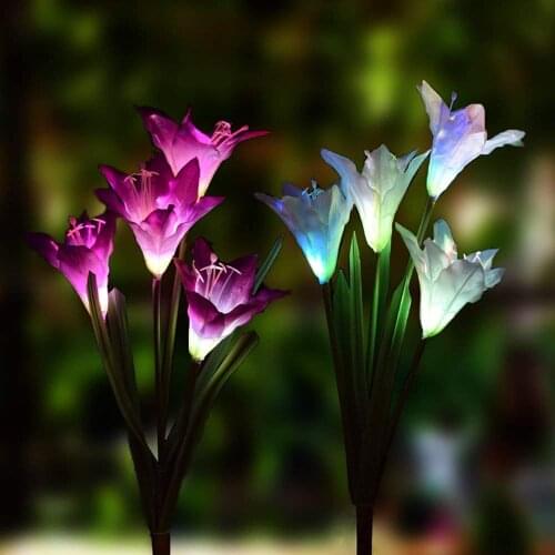 Coquimbo Solar LED Lights