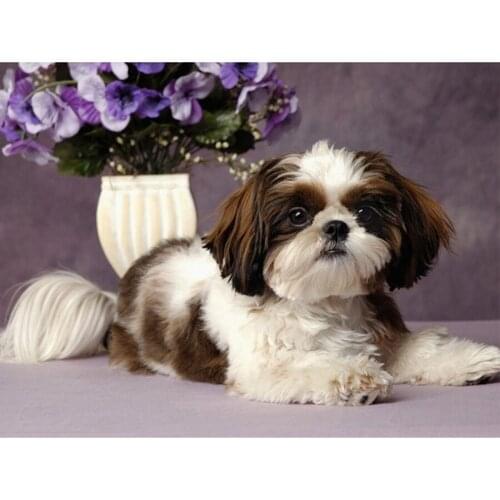 3d Diamond Embroidery Shih Tzu Animal Diamond Art Hobby pet Dog Cross Stitch Diamond Painting Full Square Wall Decor L580
