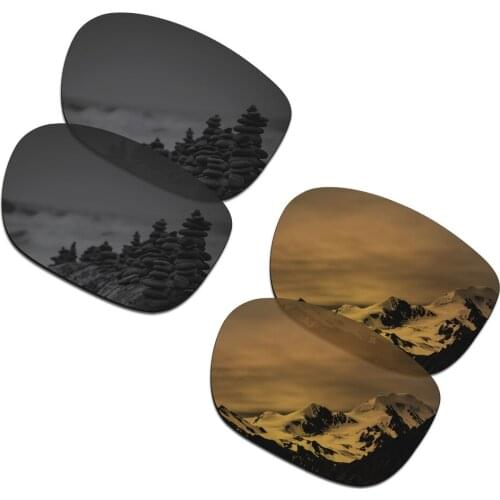 SmartVLT 2 Pairs Polarized Sunglasses Replacement Lenses for Oakley LBD Stealth Black and Bronze Gold