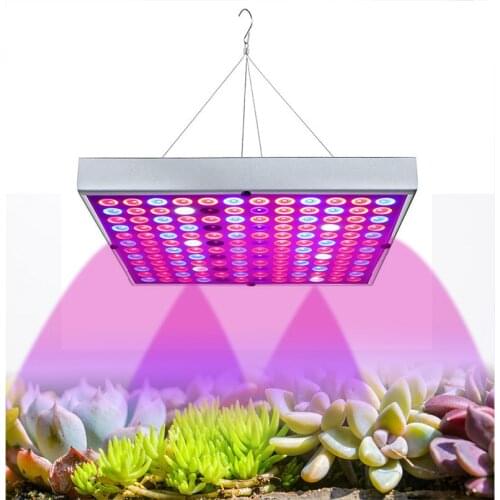 No name LED Plant Lamps