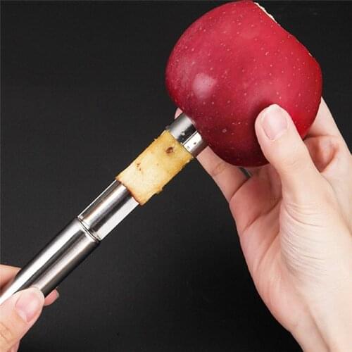 Stainless Steel Twist Fruit Core Seed Remover Hawthorn Jujube Pear Apple Corers Seeder Kitchen Gadgets Tools